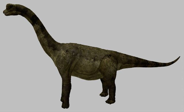 File:Palyuxasaurus.jpg