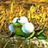 Moorfrosch.png