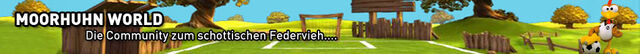 Datei:MHSoccer.jpg