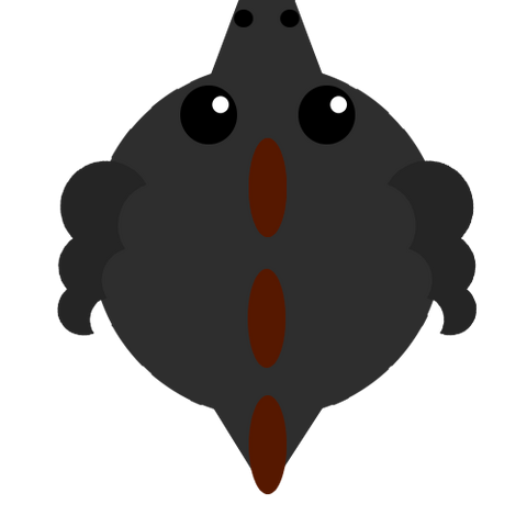 File:Blackdragon-2.png