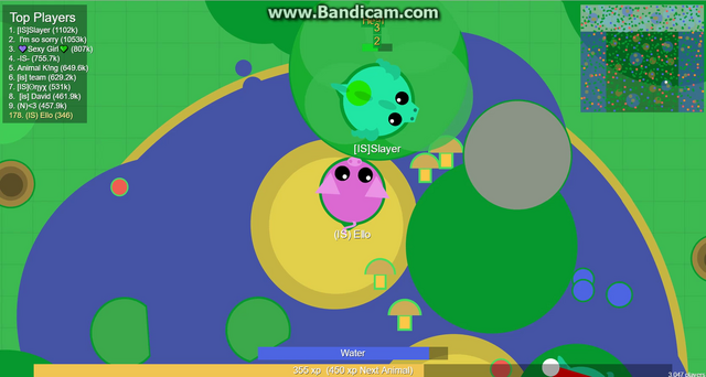 File:Pig & Dragon.png
