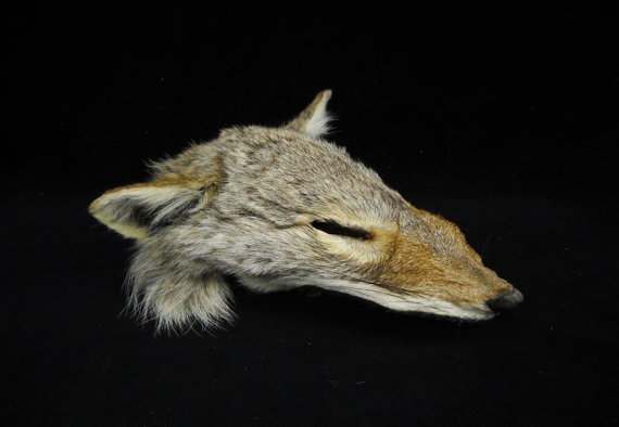 File:Coyote face mask.jpg