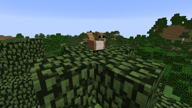 File:BirdNew.png