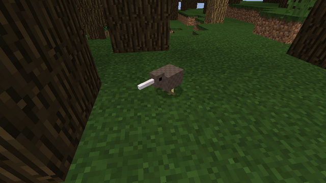 File:Kiwi.png