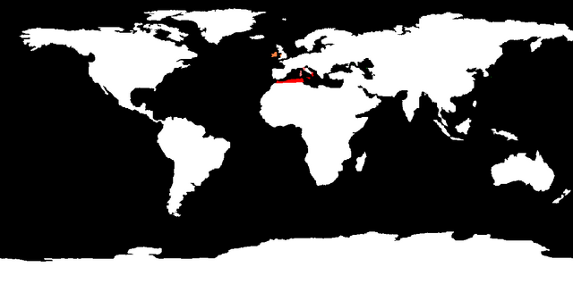 File:World map.png