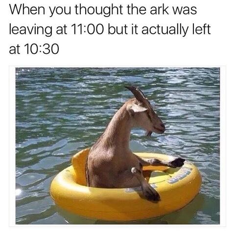 File:The ark lol.jpg