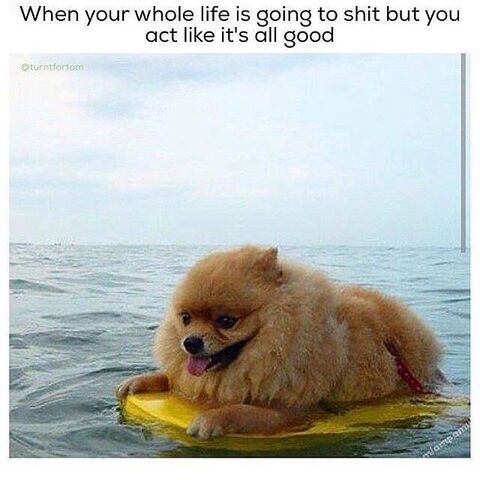 File:Accurate.jpg