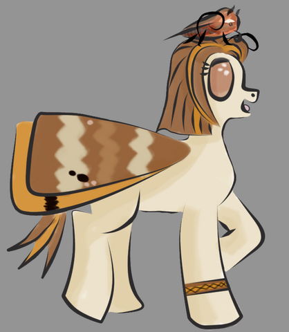 File:Noctua moffhair.png