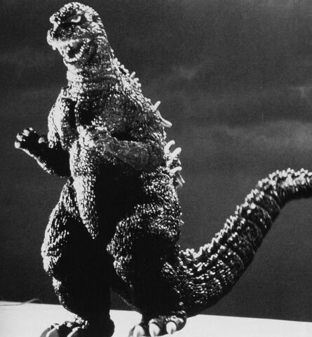 File:1984 84Goji.jpg