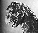 File:1954 ShodaiGoji.jpg