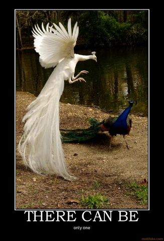 File:There-can-be-peacock-one-highlander-demotivational-poster-1289765548.jpg