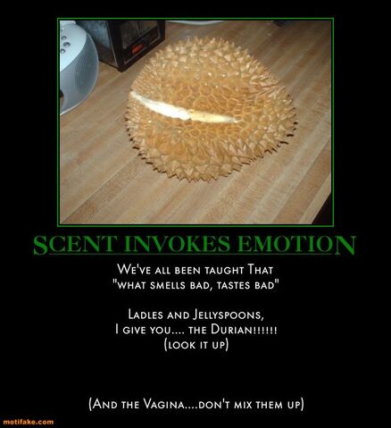 File:Scent Invokes Emotion.jpg