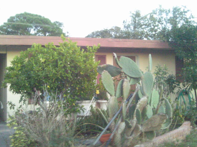 File:IMAG0478.jpg