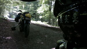 F800-versys.jpg