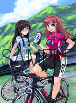 Pearl Izumi Artwork