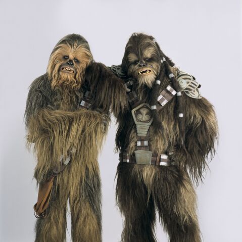 Файл:Wookie.jpg