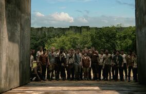 Maze runner 2