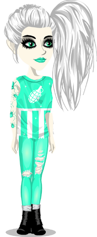 File:The team outfit 1.png