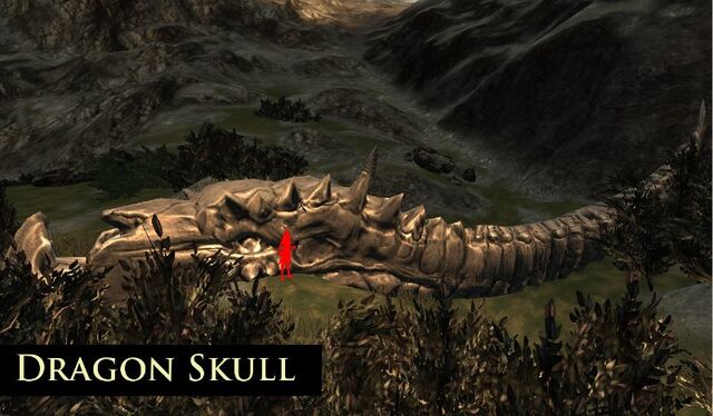 File:DragonSkull.jpg