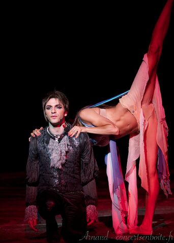 Fichier:Mozart-lopera-rock-le-dome-marseille-11-06-11-17.jpg