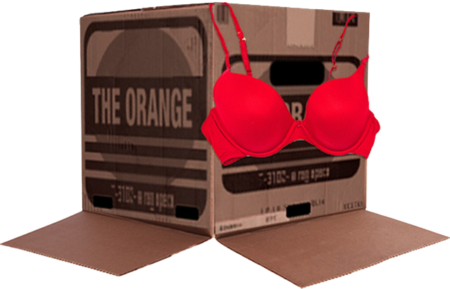File:BoxBra.png