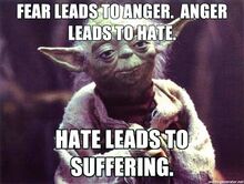 Fear-leads-to-anger-anger-leads-to-hate.-Hate-leads-to-suffering