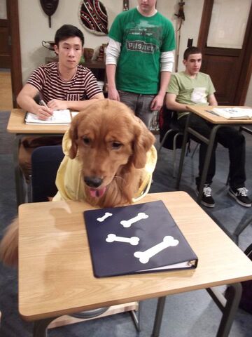 File:Mr. DogBTS02.jpg