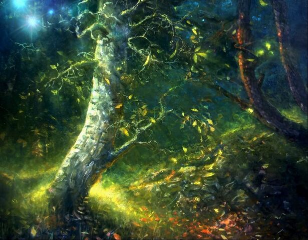File:MagicForest02.jpg