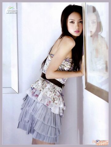 Archivo:Zhang-Zi-Lin2.jpg