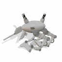 Strider