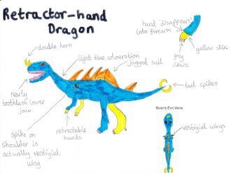 Retractor hand dragon