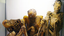2500-years-old-south-american-mummies