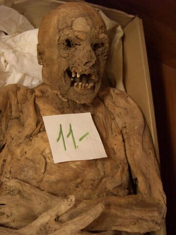 File:Mummy-1459451200.jpg