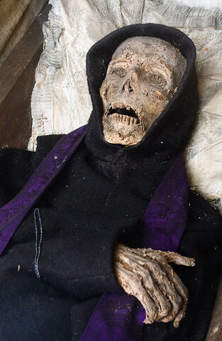 File:Mummy-1487794577.jpg