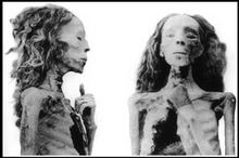 The Elder Lady Mummy