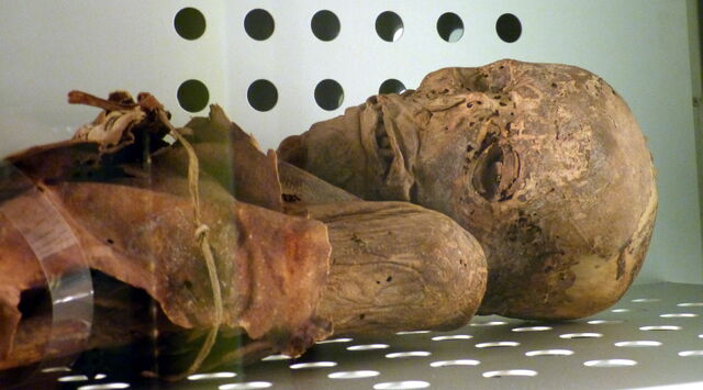 File:Mumie Mann 1.jpg