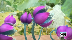 Mutated Beige berry plants