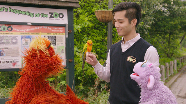 File:Murray-Birds02.png