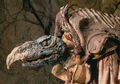 Thumbnail for version as of 02:28, March 19, 2013