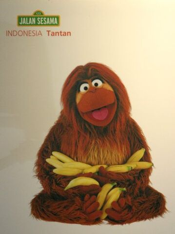 File:Jalan Sesama 11.jpeg