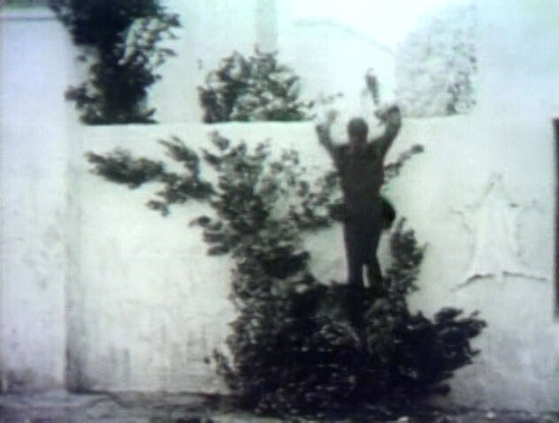 File:OVERfilm.jpg