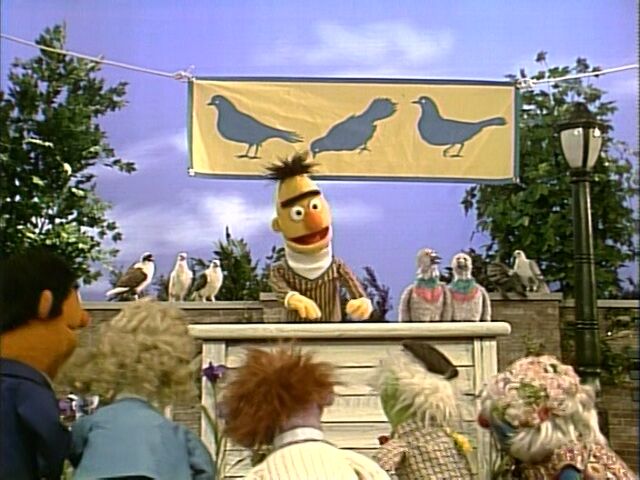 File:Song.cleanpigeons.jpg