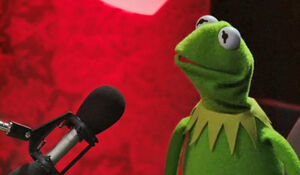 Kermit on q radio