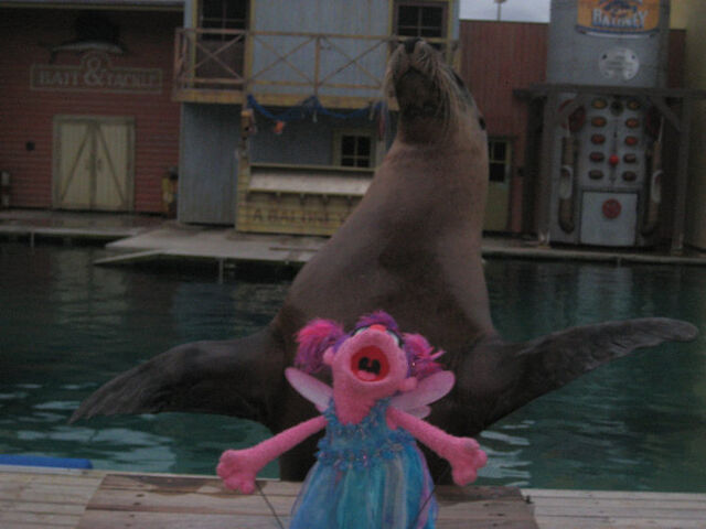File:SeaWorldGoldCoastAbbyCadabby2.jpg