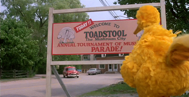 File:FollowThatBird-WelcomeToToadstool.png