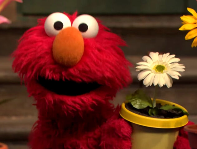 File:Elmo-2013.jpg