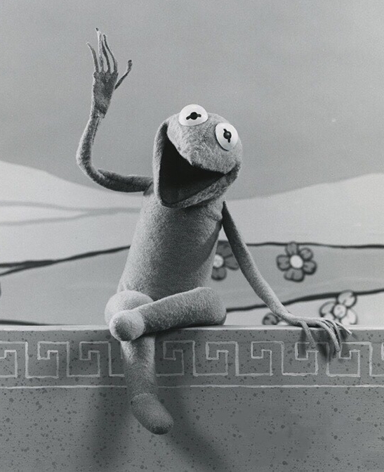 Kermit the Frog Through the Years | Muppet Wiki | FANDOM powered by Wikia