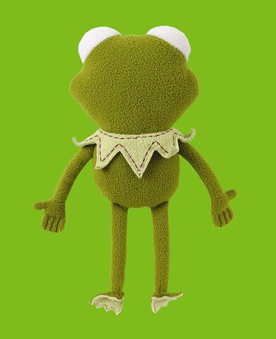 File:Pookalooz.kermitback.jpg