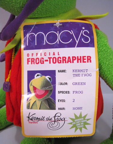 File:Frogtog4.jpg