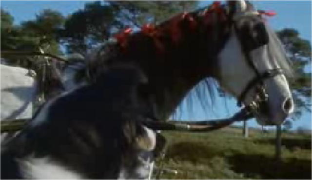 File:Mollie.png
